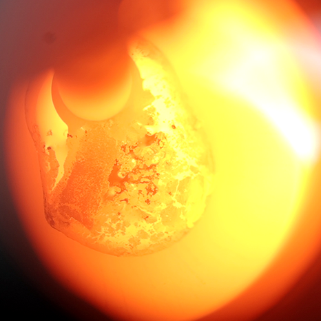Molten Gold Process